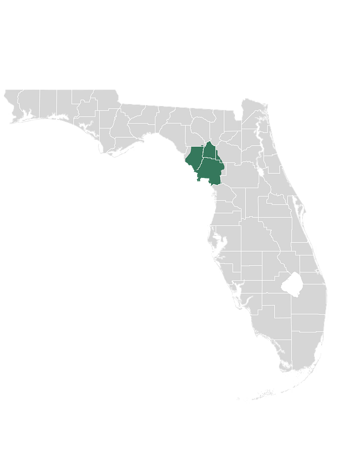 Central Florida Electric Cooperative – Seminole Electric